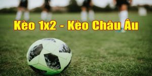 Kèo châu u là gì? Bí kíp chinh phục kèo 1x2 tại RR88